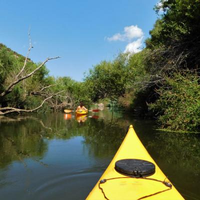 Kayak Fiume Coghinas Le Serpentine Nella Vegetazione Selvaggia
